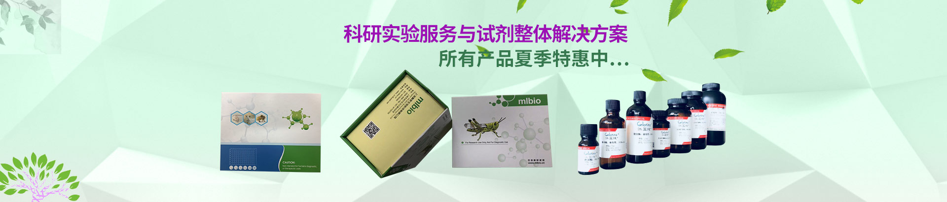 上海通蔚生物活動